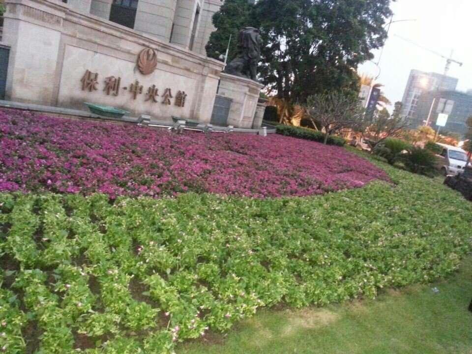 楼盘绿化